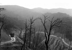 Cảnh rừng Việt Bắc